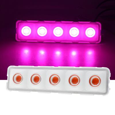 China Seed Starting Full Spectrum Led Grow Light Bars Grow Light Full Spectrum Led Grow Light Indoor Plants for sale