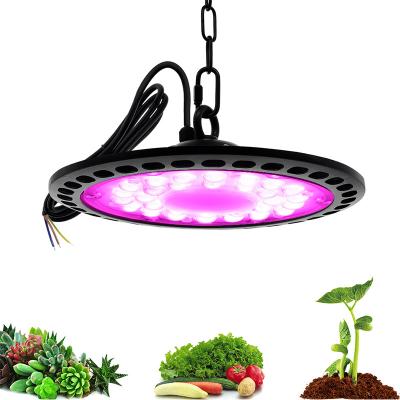 China Seed Starting Table Grow Light 200W Led Greenhouse Grow Light Hydroponic For Indoor Plant Grow Light 200Watt for sale