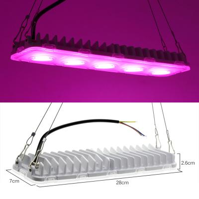 China Seed Starting Full Spectrum Strip Led Grow Light 3 Years Warranty Hydroponic Light LED Grow Light for sale