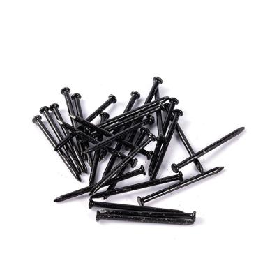 China Contemporary Wholesale Building Accessories Special XuYang Hardened Steel Nails for sale