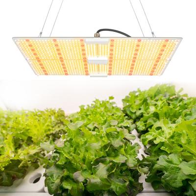 China Seed Starting Dimmable LED Light Bar 700W PPFD Full Spectrum Indoor Hydroponics Grow Light For Growers Retailers for sale