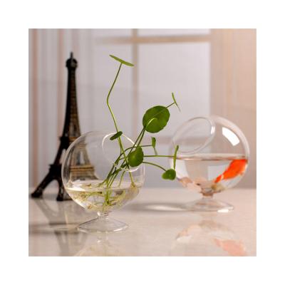 China Viable Plant Decoration Wholesale Transparent Home Fish Tank Small for sale