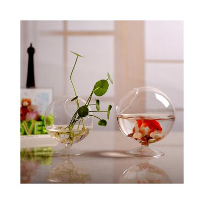 China Sustainable Unbreakable Plant Outlet Small Home Decoration Fish Tank for sale