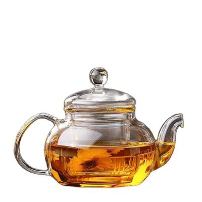 China Amazon Viable Hot Selling Tea Tools Transparent Glass Coffee Pot Teapot Infuser Teapots Teapot for sale