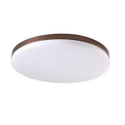 China Residential Nordic Creative Balcony LED Balcony Dining Room Atmosphere Personality Ultra-thin Ceiling Lamp for sale