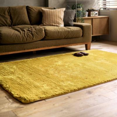 China Large Size Washable Polyester Living Room Tatami Floor Shaggy Mat for sale