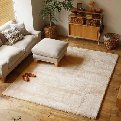 China Washable Polyester Popular Living Room Large Soft Shaggy Tatami Floor Blanket for sale