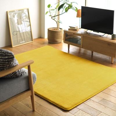 China Home Easy Clean Washable Microfiber Polyester Large Size Living Room Floor Blanket for sale