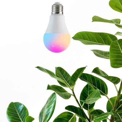 China Residential Smart Wifi RGB Led Light Bulbs Lamp A19 A65 Color Changing Emergency Light Bulb for sale