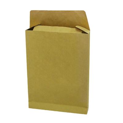 China Professional Seed Envelope Factory Custom Envelopes Logo Kraft Packaging Envelopes File Bag for sale