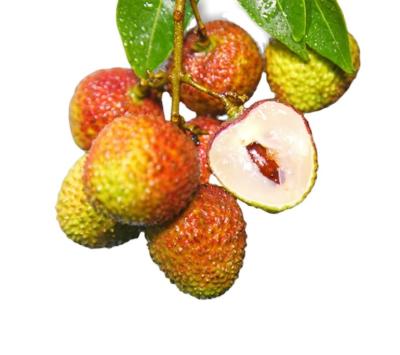 China Lychee holding fresh HOT bar of fresh fruit fi Tsz Siu Lychee Eating Juicing Salad etc. sales for sale