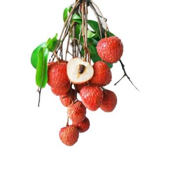 China Direct fresh orchard Jingang HongNuo fresh sweet lychee eating lychee holding salad etc. juicing bar for sale