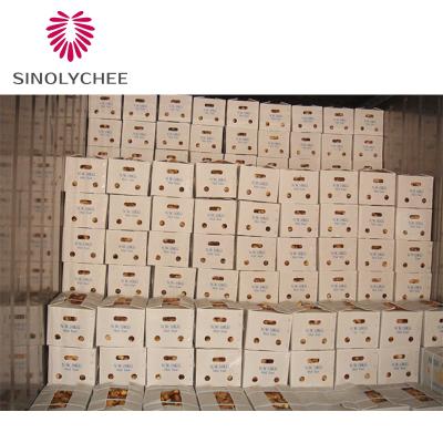 China Chinese Frozen Ginger Dried Ginger Fresh Ginger Wholesale Price for sale