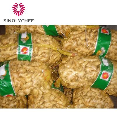 China Ginger Wholesale Fresh Ginger Exporters High Quality Fresh for sale