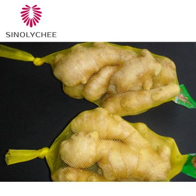 China 2022 Chinese Fresh Ginger Dry Ginger Supplier Wholesale Chinese Manufacturer for sale