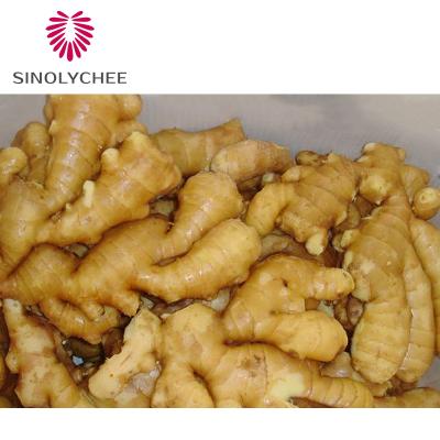 China Ginger Wholesale Price Fresh Ripe Chinese Fresh for sale