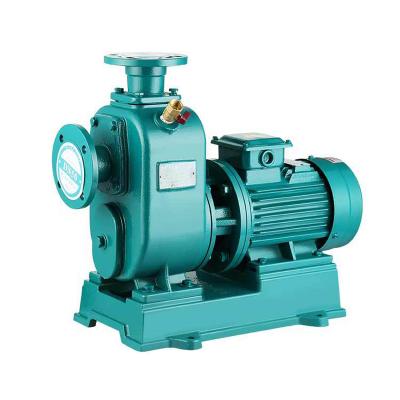 China High 2 4 6 8 Inch 20 HP Commercial Electric Main Motor Chemical Sewage Buildings HRZL ZX Self Priming Water Pump for sale