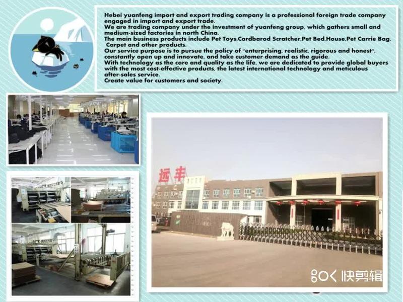 Verified China supplier - Hebei Yuanfeng Import And Export Trading Co., Ltd.