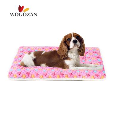 China Double Sided Lint Free Cat Bed Warm Sleeping Mattress Travel Pet Blanket Dog Dog Cats Coral Fleece Soft Blanket for sale