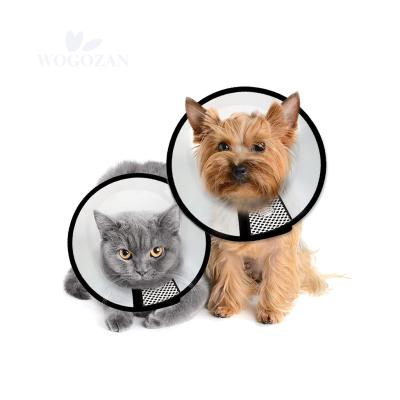 China Hot Sale Dog E Protective Elizabethan Cone Viable Collar Anti Bite Lick Circles Pet Cat Dog Neck Circle Cat E for sale