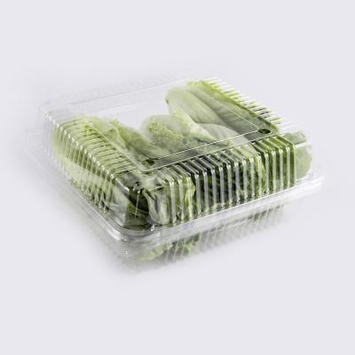 China Recyclable Custom Transparent Disposable Fruit Plastic Vegetable Containers , Plastic Packaging Vegetable Box for sale