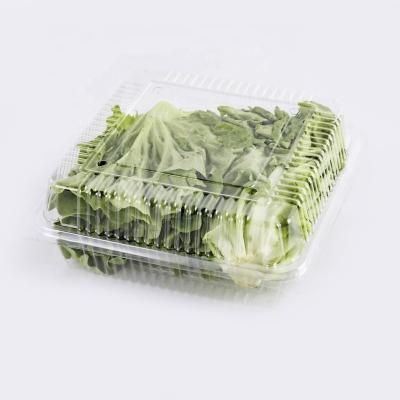 China Recyclable Disposable Clear Plastic Blister Clamshell Fruit Vegetable Container Packaging Box for sale