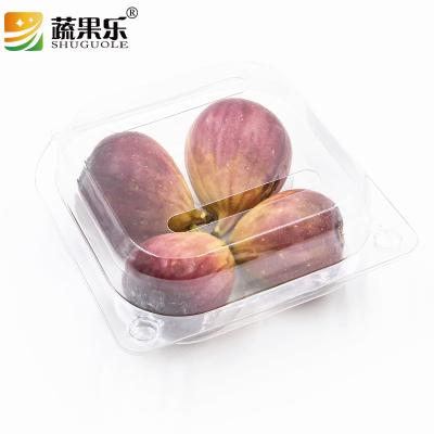 China Disposable Wholesale Clear Blister Fruit Food Packaging Container Plastic Box for sale