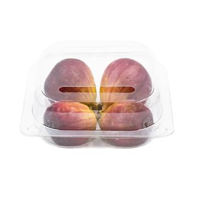 China Disposable Transparent Clamshell Plastic Fig Fruit Packing Box With Lid for sale