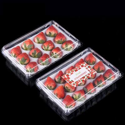 China Disposable Plastic Strawberry Box Fruit Packaging Box For Strawberry for sale