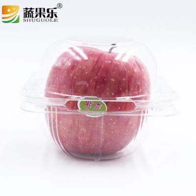 China Wholesale Disposable Plastic Food Packaging Container for sale