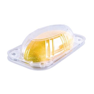 China Disposable Disposable Take Away Plastic Mango Box Packaging Fruit Container for sale