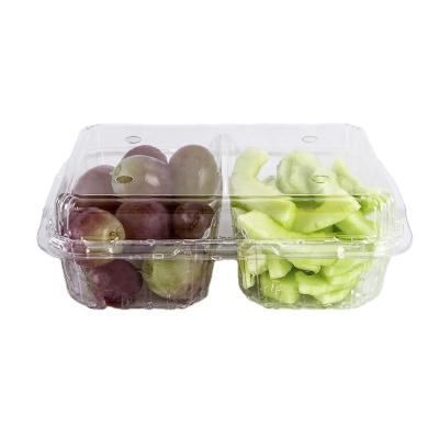 China Factory Supply High Quality Disposable Empty Plastic Fruit Container Eco - Friendly for sale