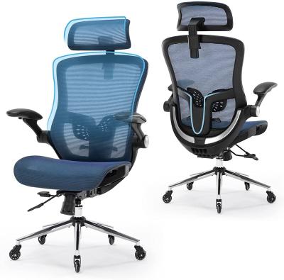 China Home Office Ergonomic Adjustable Backrest Computer Office Chair Adjustable (Height) Mesh Chair for sale