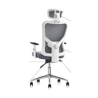 China Adjustable Mesh Computer Chair (Height) Desk with Ergonomic Adjustable Lumbar Support for sale