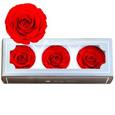 China Preserved Roses Flower Hot Selling Flower Rose Head DIY Eternal B Grade Floral 3 Pieces 7-8cm Preserving Roses Flower Valentine's Day Gift Materials for sale