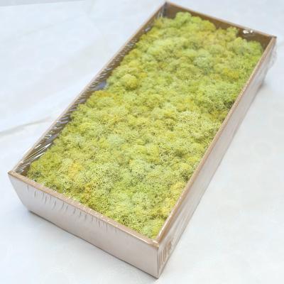 China Reindeer Preserved Moss Reliable Material Natural Flat Preserved Moss For Floral Project for sale