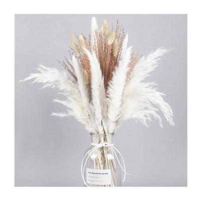 China Boho Style High Cost Performance Best Real Reed Bunny Tail Natural Dry Decorative Mixed for sale