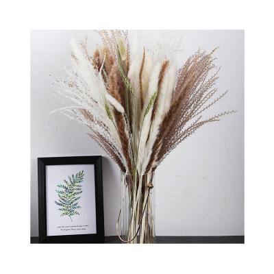 China Boho Style Factory Direct Supply White Pampas Grass Bouquet For Wedding Home Decoration for sale