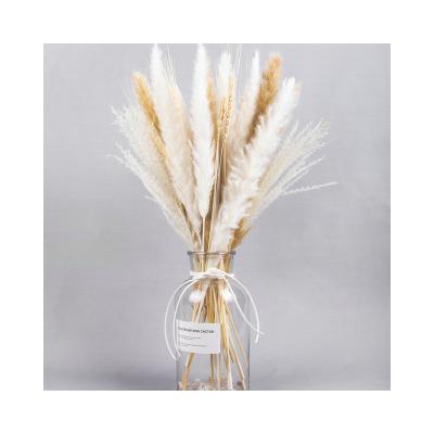 China High Quality Boho Style Small Pampas Grass Mixed Bouquet Dried Flowers For Home Decorums for sale