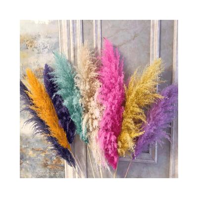 China Wholesale Boho Style Boho Style 48 Inch Large Flower Natural Dry Pampas Grass For Home Wedding Decoration for sale