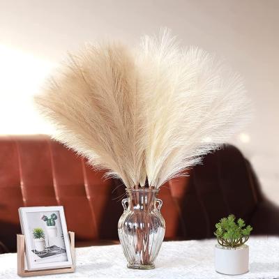 China Hot Popular Boho Style Amazon Selling Fake Pampas Grass Small 45cm Beige Taupe Artificial Grass Decoration for sale