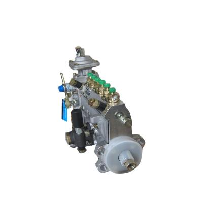 China DEUTZ machinery repair shops construction machinery parts fuel injection pump 13021799 for sale