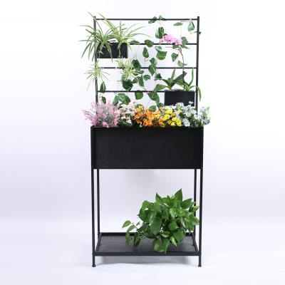 China Indoor Plant Display with Trellis Home Decor Accessories Garden Tool Kit Large Plant Rack Display Bed Floor Planters for Succulents for sale