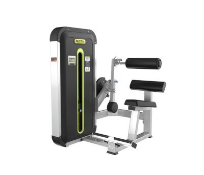 China 2020 ASJ New Gymnasium Club Extender ASJ-ZM007 Gym Equipment Strength Back Commercial Machine for sale