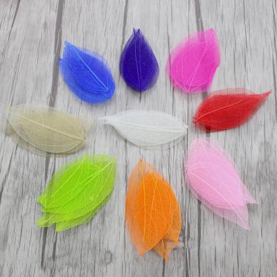 China Multicolor Polyester 36pcs /Bag Natural Leaf Skeleton Leaves For Kid Scrapbooking DIY Art Crafts C0704 for sale