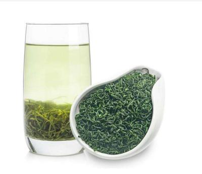 China loose tea tea style and loose green tea product type green tea free sample for sale