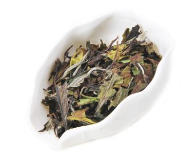 China High Quality Compressed Tea Fuding Peony Tea BaiMudan Loose Leaf White Tea for sale