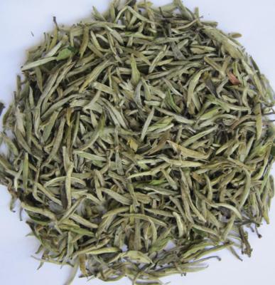 China Needle B Silver Chinese White Tea Price Fujian White Tea Compressed for sale