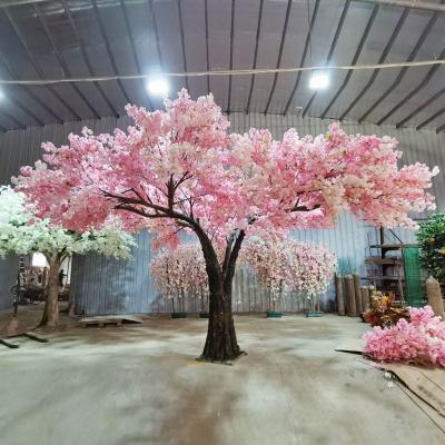 China Large Plastic Japanese Artificial Cherry Blossom Tree 3.3m Tall and 6m Wide Full Flower Tree for Decor for sale