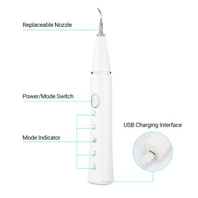 China Portable ABS+SU304 Leyun Mini Ultrasonic Electric Tooth Cleaner Chargeable Waterproof Dental Calculus Remover for sale